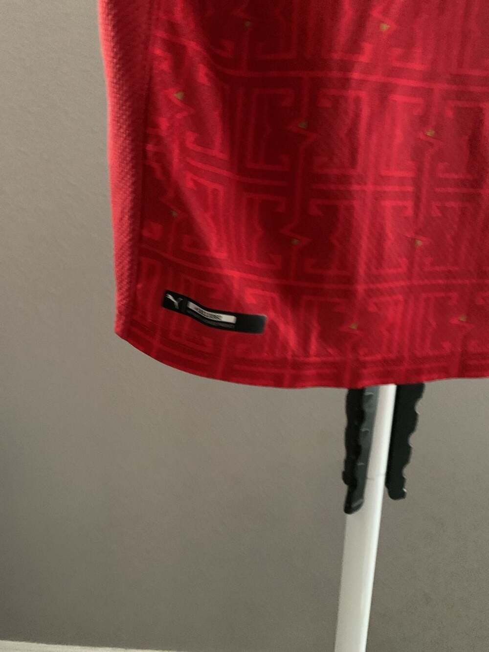Puma Serbia 2020-2021 Men's Home Soccer Jersey - Picture 2 of 9
